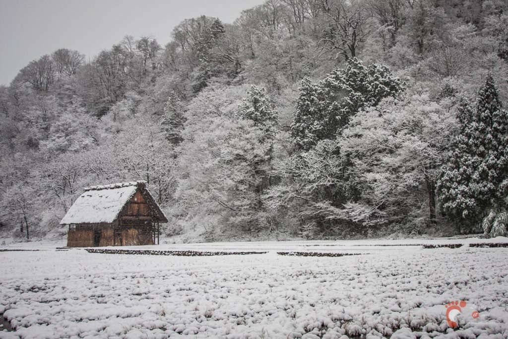 Dans les rues de Shirakawa-go