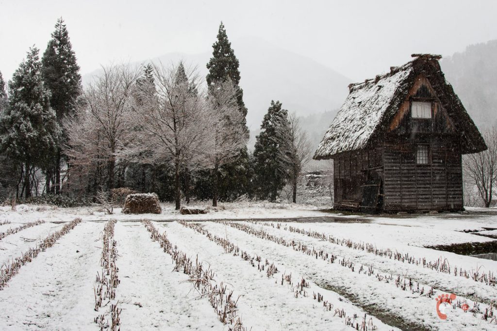 Village de Shirakawa-go